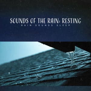 Sounds of the Rain: Resting - Rain Sounds Sleep