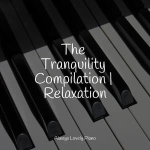 Instant Quiet Listening Music Compilation - Calming Baby Sleep Music Club