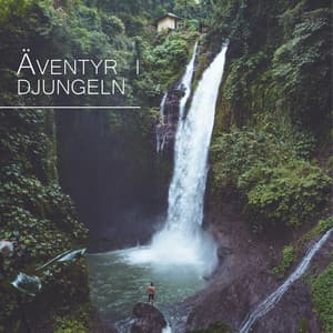 Äventyr i djungeln - Avslappning Musik Akademi