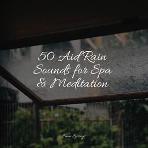 50 Aid Rain Sounds for Spa & Meditation - Nature's Symphony