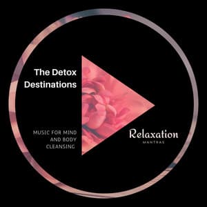 The Detox Destinations - Music for Mind and Body Cleansing - Gold Spa Melodies