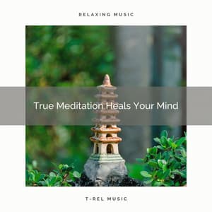 True Meditation Heals Your Mind - Spa And Soft Relax