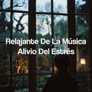Relajante De La Música Alivio Del Estrés - Yoga Music