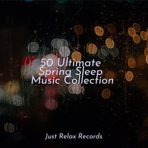 50 Ultimate Spring Sleep Music Collection - Relaxamento