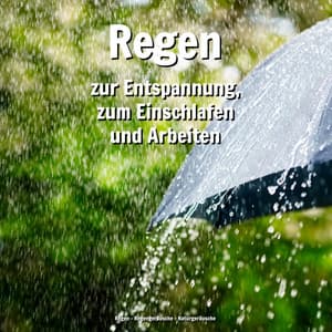 Regen zur Entspannung, zum Einschlafen und Arbeiten - Regen