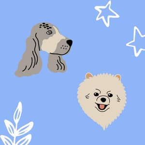 Fun Jazz Violin - Background for Lazy Chill Dogs - Separation Anxiety Dog Music