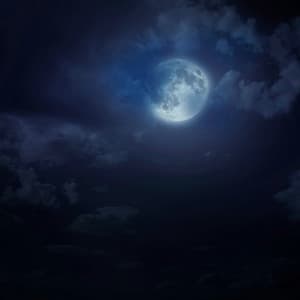 Quiet Dreams: Soothing Tunes for Night Relaxation - Oriental Music Collective