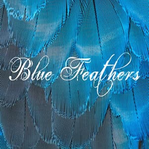 Blue Feathers - Zen Mechanics