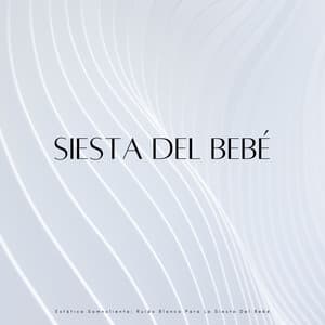 Estática Somnolienta: Ruido Blanco Para La Siesta Del Bebé - Ayuda para dormir White Noise Baby