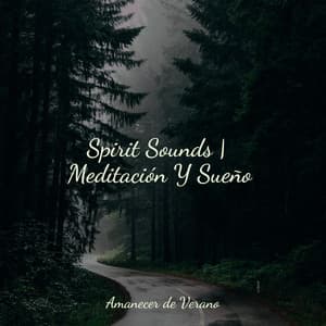 Spirit Sounds | Meditación Y Sueño - Musica para Bebes