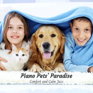 Piano Pets' Paradise: Comfort and Calm Jazz - Piano Jazz Calming Music Academy