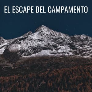 El Escape Del Campamento - Grabaciones de campo de la naturaleza