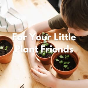 For Your Little Plant Friends - Jazz para Cenar