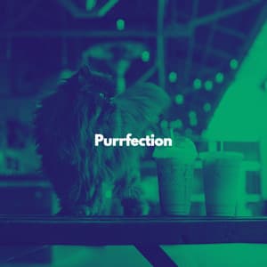 Purrfection - RelaxMyCat