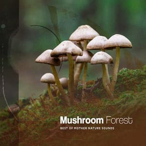 Mushroom Forest - Best of Mother Nature Sounds