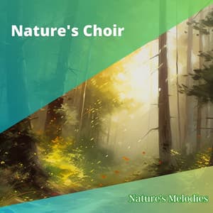 Nature's Choir - Nature's Melodies