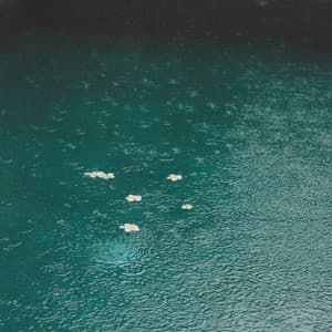 Gentle Rainfall: Serene Sounds of Soothing Raindrops - Wetlag