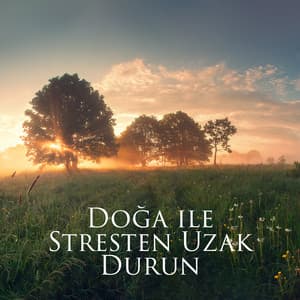 Doğa ile Stresten Uzak Durun: Meditasyon için Sesler, Sakinleşmek için Gerçekten Rahatlatıcı Müzik, Her Gün Farkındalık Anı - Rahatlatıcı Müzik Terapi
