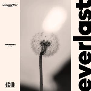 Everlast - Collection Spa