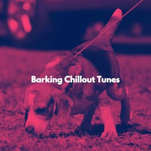 Barking Chillout Tunes - Jazz Tranquila para Cafeterías