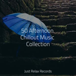 50 Afternoon Chillout Music Collection - Healing Yoga Meditation Music Consort