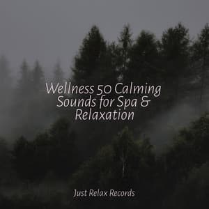 Wellness 50 Calming Sounds for Spa & Relaxation - Música Relajante para Bebés