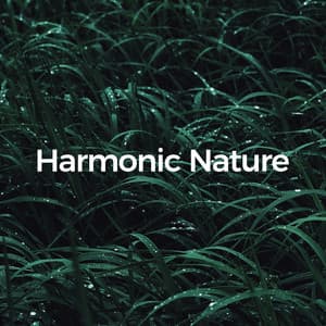 Harmonic Nature - Sounds of Nature Noise