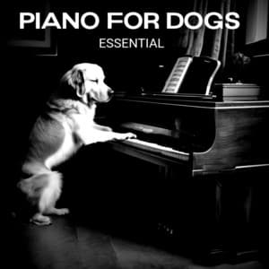 Essential - Piano for Dogs
