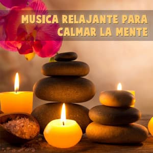 Música Relajante Para Calmar La Mente - Mc_team