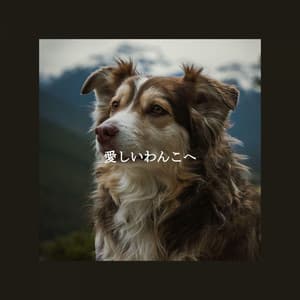 愛しいわんこへ - Background Jazz Music