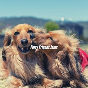 Furry Friends Jams - Music for Dogs Radio