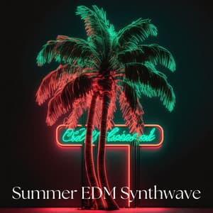 Summer EDM Synthwave - DJ Edm