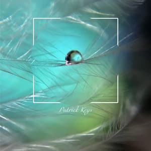 Shamanic Soul Hiding - Patrick Keys