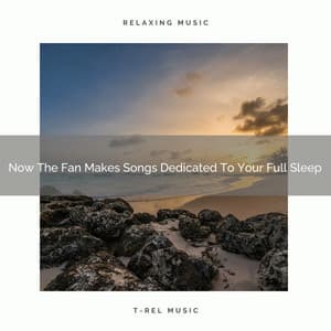 Now The Fan Makes Songs Dedicated To Your Full Sleep - Dreamy White Noise