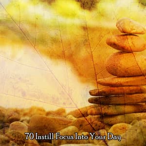 70 Instill Focus Into Your Day - Relaxing Music Moods