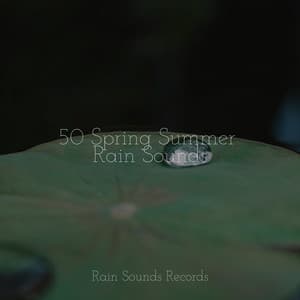 50 Spring Summer Rain Sounds - Relaxed Minds