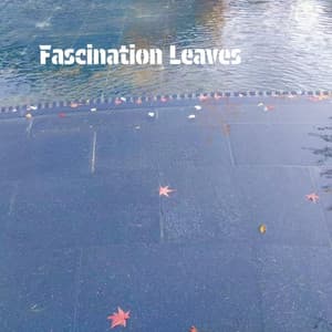 Fascination Leaves - PianoDreams