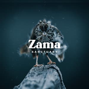 Rain Birds - Zama Sanctuary