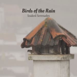 Birds of the Rain: Soaked Serenades - Sample Rain Library