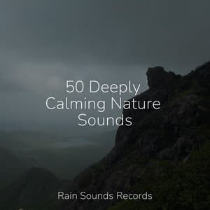 50 Deeply Calming Nature Sounds - Sea Waves Sounds