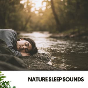 Nature Sleep Sounds: Dreamscapes by the River - Música Relajante Para Leer