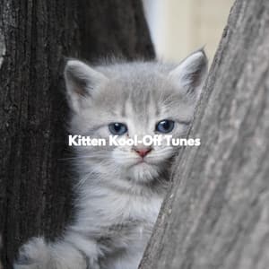 Kitten Kool-Off Tunes - Shopping Music