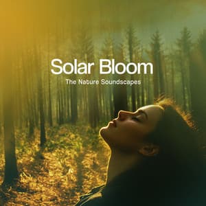 Solar Bloom - The Nature Soundscapes