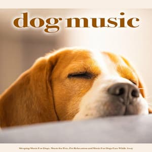 Dog Music: Sleeping Music For Dogs, Music for Pets, Pet Relaxation and Music For Dogs Ears While - Sleeping Music For Dogs