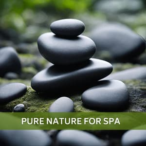 Pure Nature for Spa: Deep Relaxation Zen, Massage & Wellness, Inner Peace, Well-Being - Spa Healing Zone