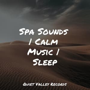 Spa Sounds | Calm Music | Sleep - Regen
