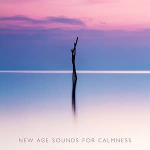 Deep and Slow Breath – New Age Sounds for Calmness, Clear Up Bad Emotions, Get Rid of the Tension in the Body - New Age Harmonic Melodies