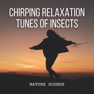 Nature Sounds: Chirping Relaxation Tunes of Insects - Non-stop Nature Channel