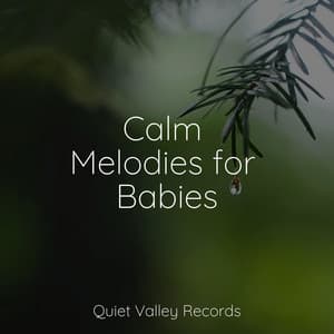 Calm Melodies for Babies - Musica Relajante