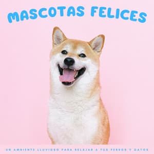 Mascotas Felices: Un Ambiente Lluvioso Para Relajar A Tus Perros Y Gatos - Sonidos de lluvia FX